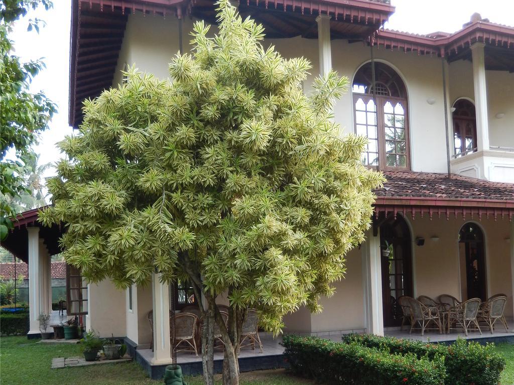 Villa Ranmenika Ахунґалла Екстер'єр фото
